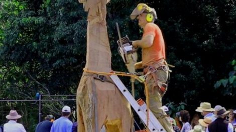 Maleny Wood Expo