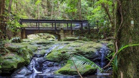 Kondalilla National Park