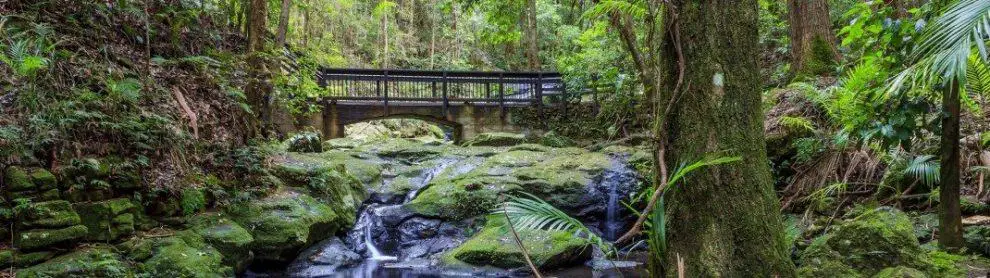 Kondalilla National Park