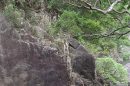 Conondale National Park