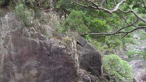 Conondale National Park