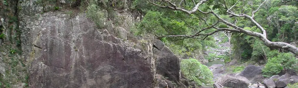 Conondale National Park