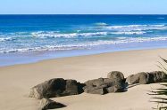 Fraser Island 17 1