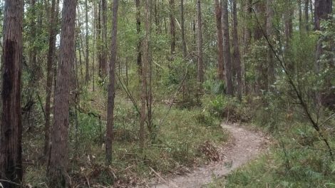 Parklands Mountain Bike Trails