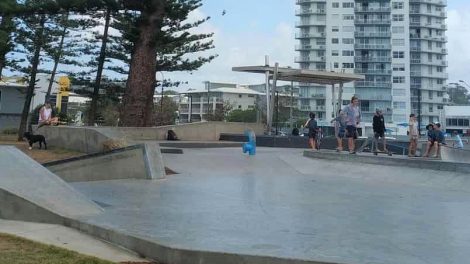 Alex Skate Park