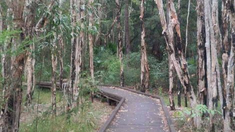 Ben Bennett Botanical Park