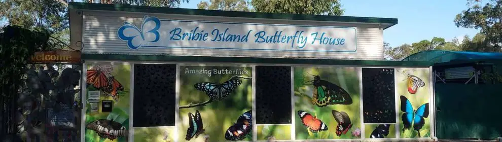 Bribie Island Butterfly House