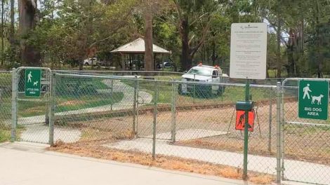 Buderim Dog Park