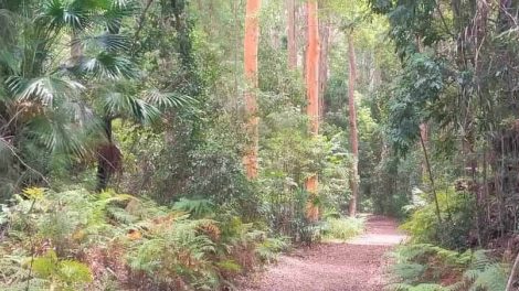 Buderim-palmwoods Heritage Tramway Walk