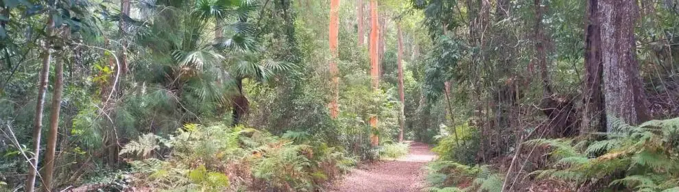 Buderim-palmwoods Heritage Tramway Walk