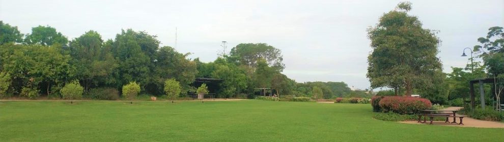 Buderim Village Park