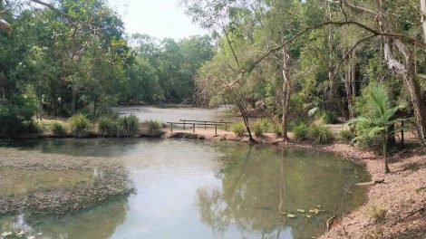 Caboolture Arboretum