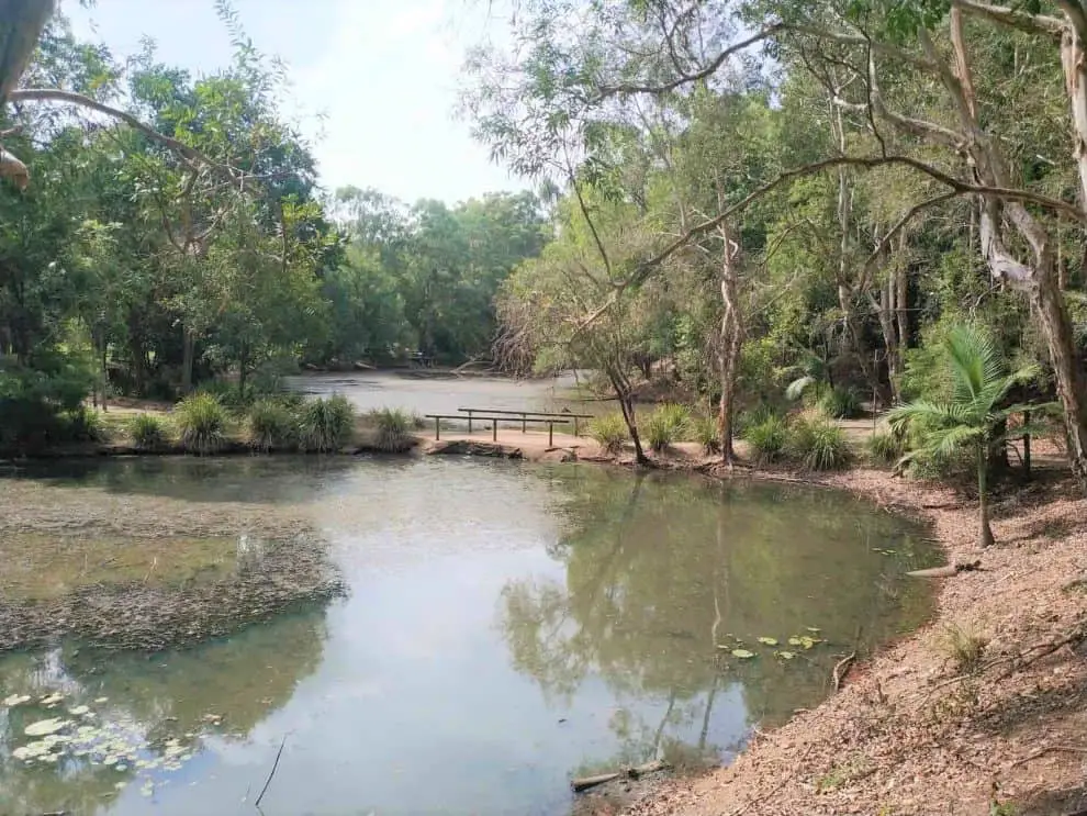 Caboolture Arboretum