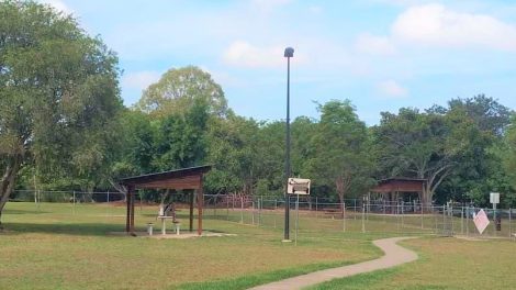 Centenary Lakes Dog Park