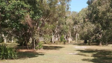 Coochin Park Dog Off-leash Reserve