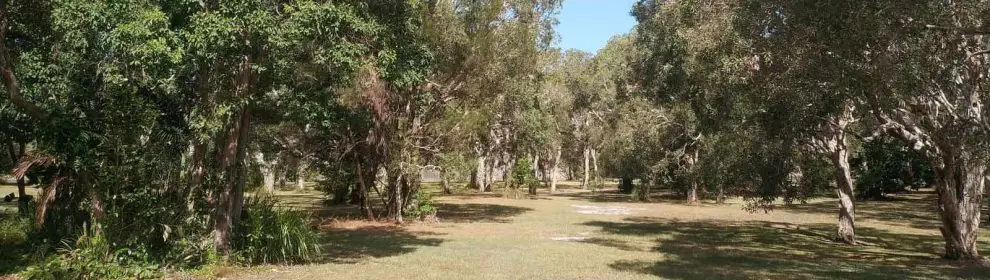 Coochin Park Dog Off-leash Reserve