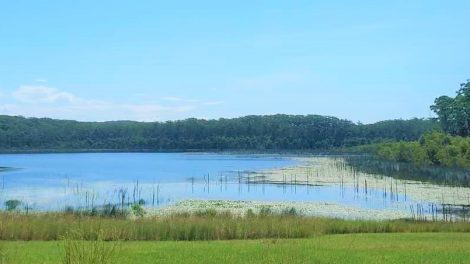 Cooloolabin Dam