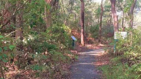 Currimundi Lake (kathleen Mcarthur) Conservation Park