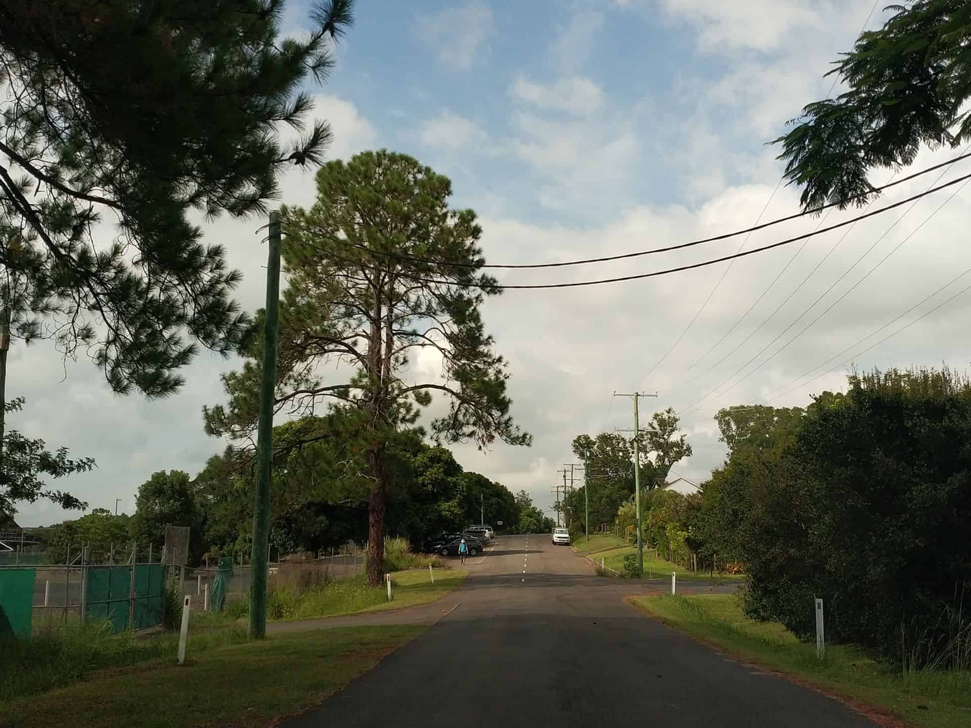 Beerburrum State Forest - Accommodation, Sunshine Coast