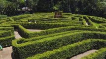 Bellingham Maze