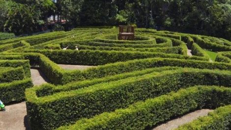 Bellingham Maze