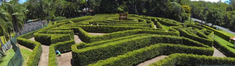 Bellingham Maze