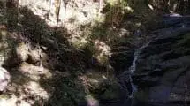 Kondalilla Falls Map