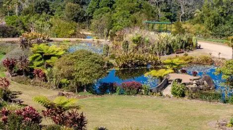 Maleny Botanic Gardens