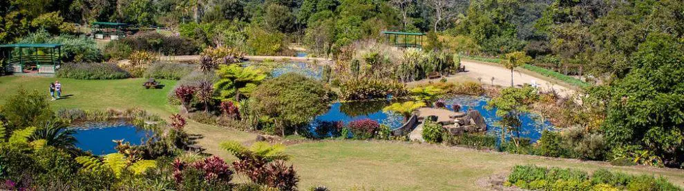 Maleny Botanic Gardens