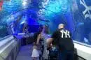 Sea Life Sunshine Coast Aquarium