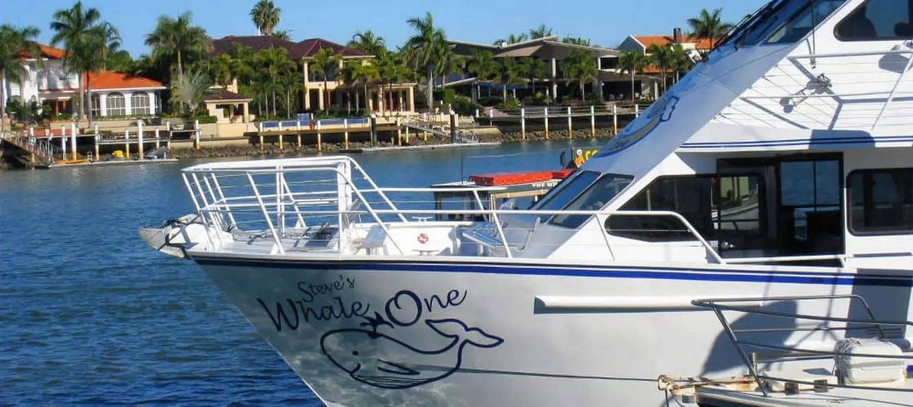 Sunshine Coast Whale Watching - Day Tours & Cruises, Qld
