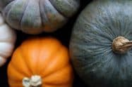 Goomeri Pumpkin Festival