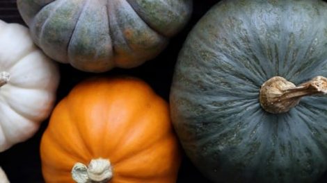 Goomeri Pumpkin Festival