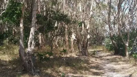 George Watson Bushland Park