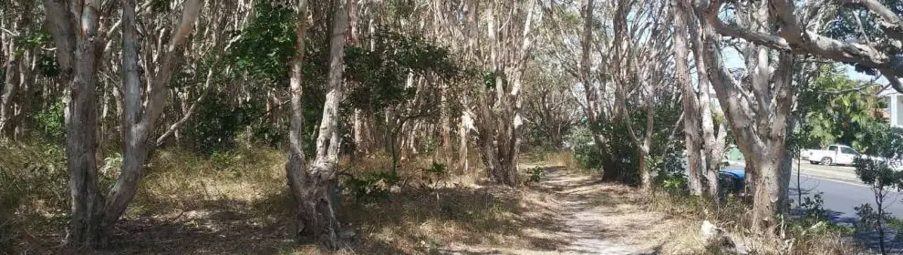 George Watson Bushland Park