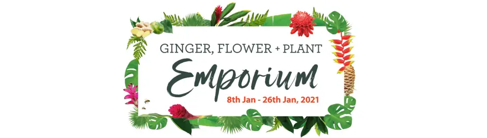 Ginger, Flower & Plant Emporium