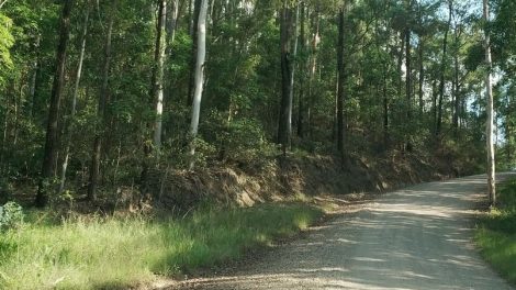 Maleny National Park