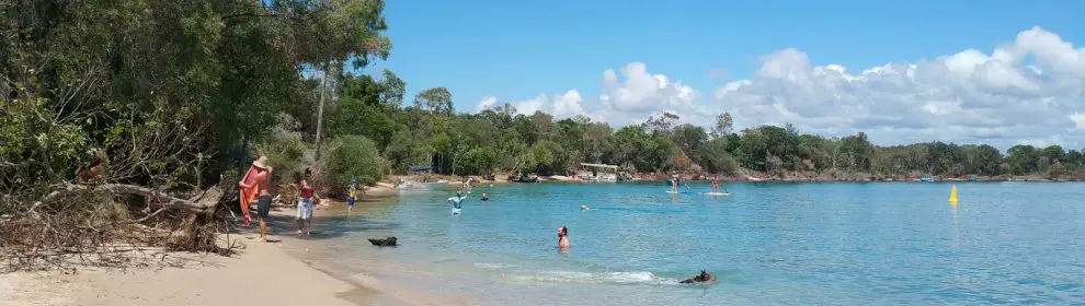 Noosa Spit Dog Beach