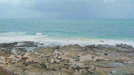 Pandanus Lookout