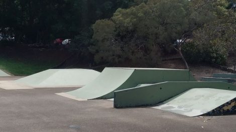 Petrie Park Skate Park