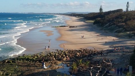 Pt Arkwright Lookout And Picnic Area