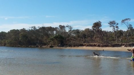 Stumers Creek Dog Offleash Area