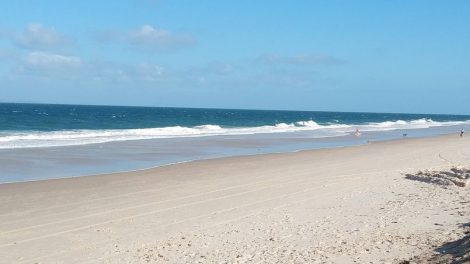 Woorim Off Leash Dog Beach