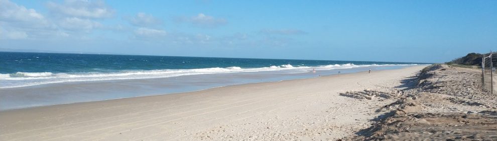 Woorim Off Leash Dog Beach