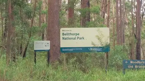 Bellthorpe National Park