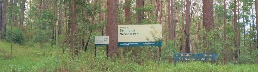 Bellthorpe National Park