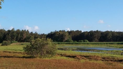 Buckley’s Hole Conservation Park