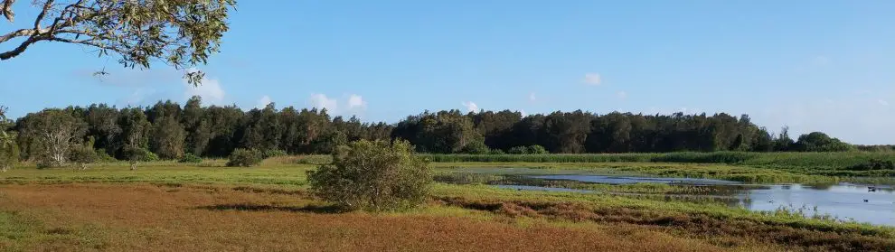 Buckley’s Hole Conservation Park