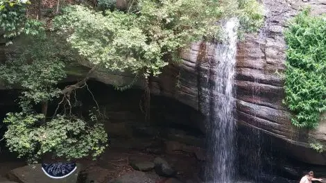 Buderim Waterfall