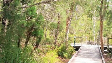 Cooloola Recreation Area